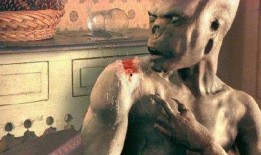 外星人在线观看,揭秘外星人在线观看之旅