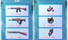 吃鸡军需新皮肤最新爆料12月,炫酷造型，等你来战！